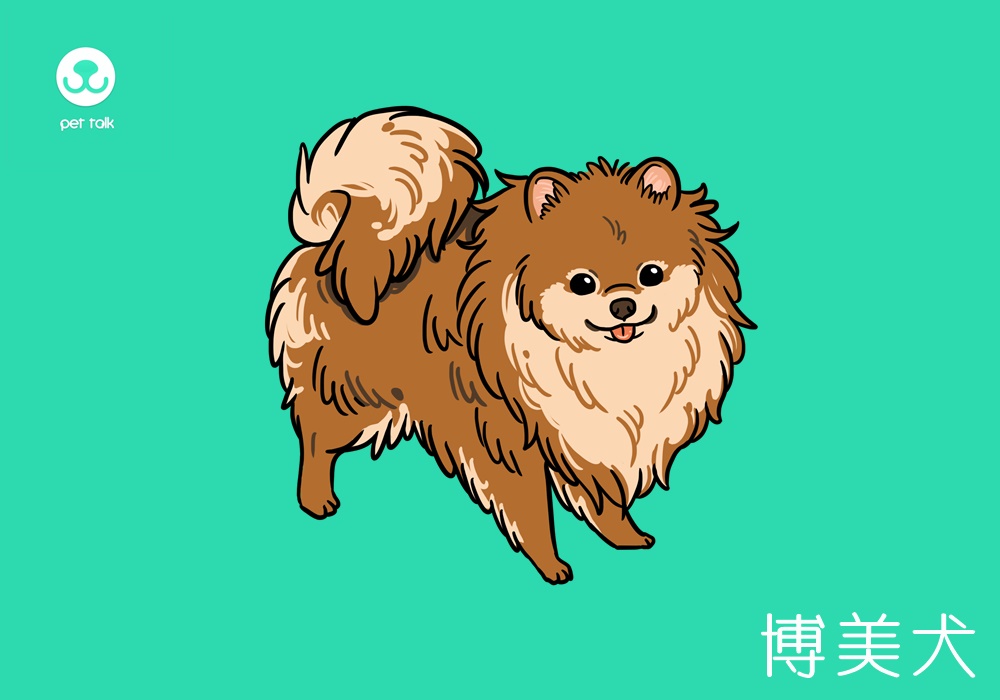 想带我回家 请先认识我 品种狗常见问题 上 梦奇宠医 想带我回家 请先认识我 品种狗常见问题 上 梦奇宠医