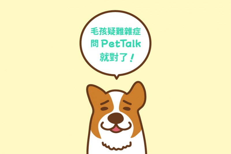 狗狗皮肤瘙痒总挠怎么办呢