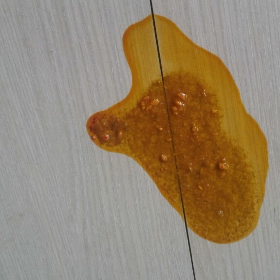 狗狗呕吐并食慾不振