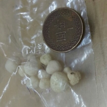 雪纳瑞膀胱结石怎么办